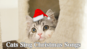 Cats Sing O Christmas Tree Ident - 2